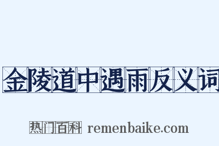 金陵道中遇雨反义词是什么意思的图片